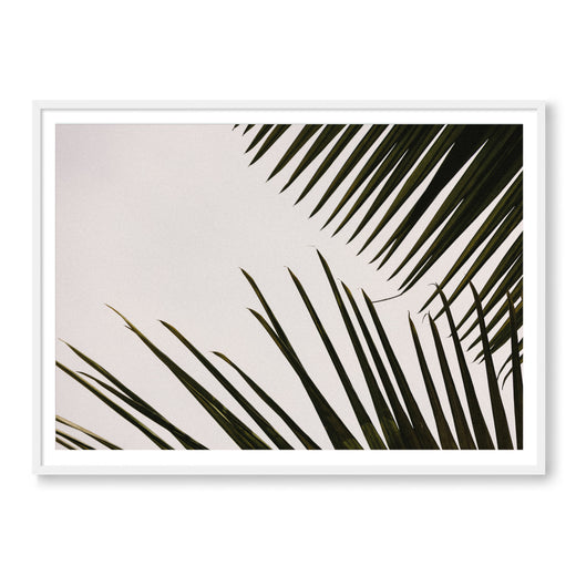 Tropical Foliage