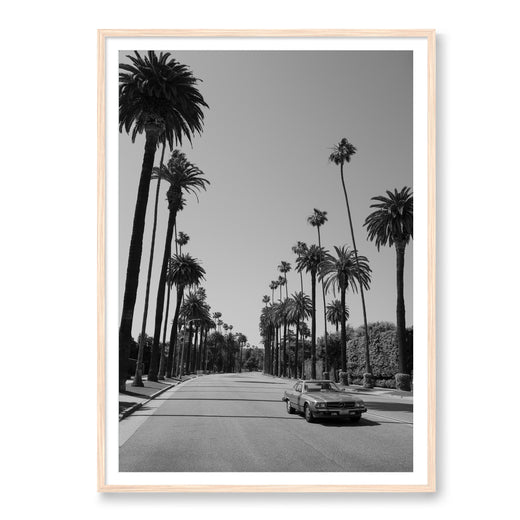 Beverly Hills Drive