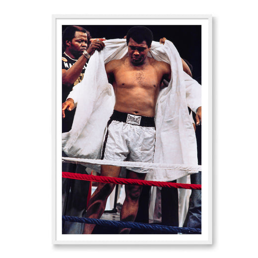 King Of The Ring