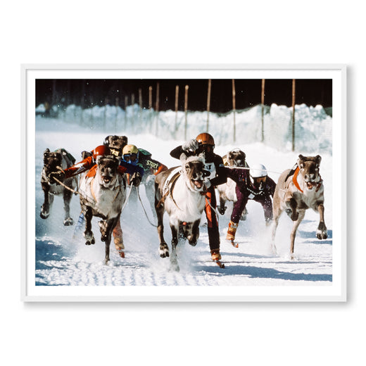 REINDEER GAMES