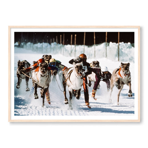 REINDEER GAMES
