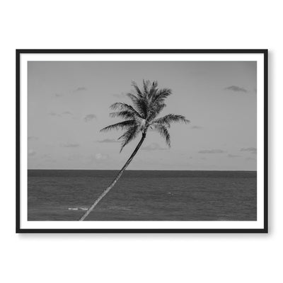 The Palm