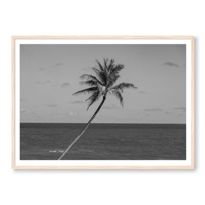 The Palm