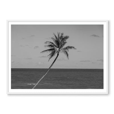 The Palm