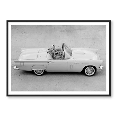 Thunderbird BW