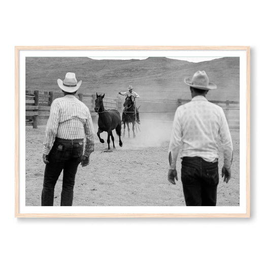 Wranglers & Mustangs