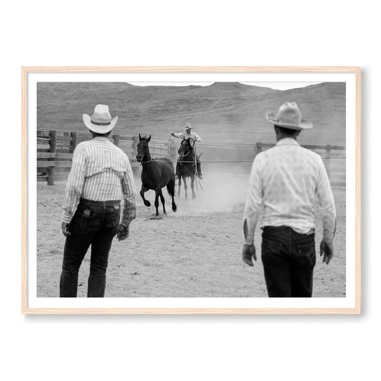 Wranglers & Mustangs