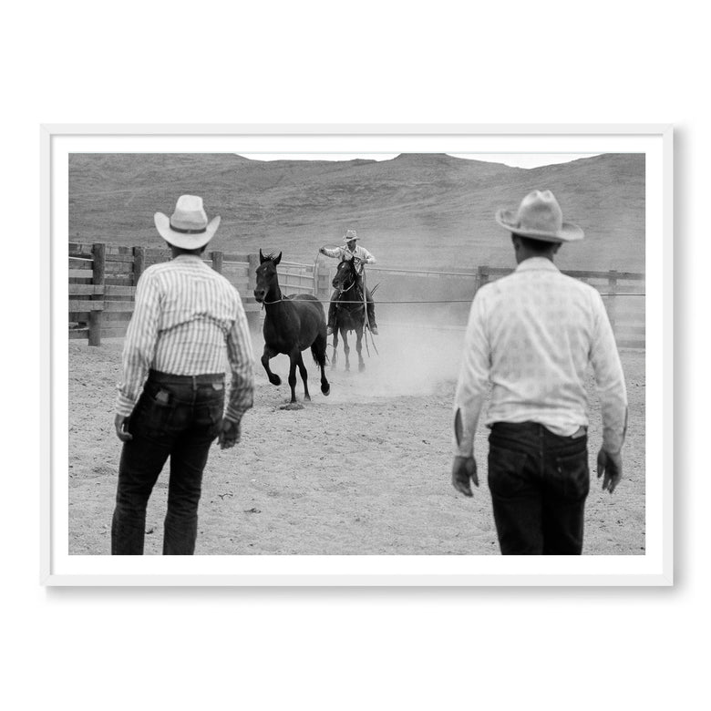 Wranglers & Mustangs