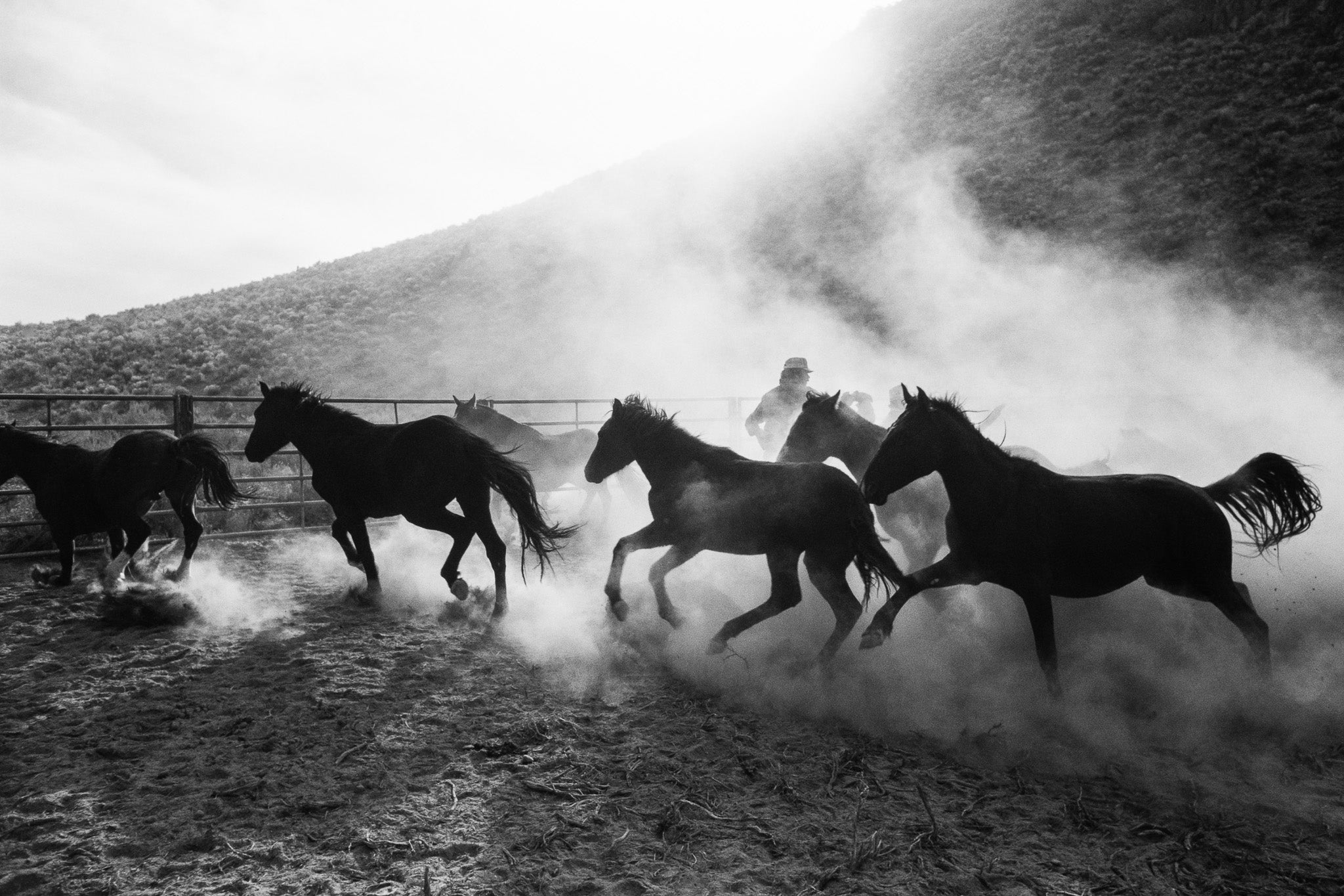 The Untamed West B&W - In Real Life