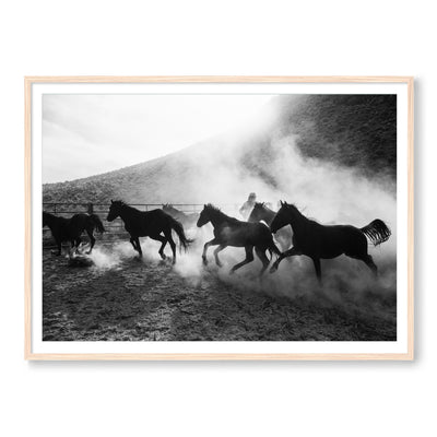 The Untamed West B&W