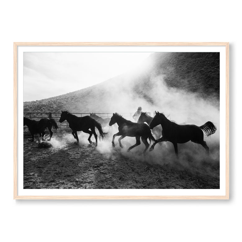 The Untamed West B&W