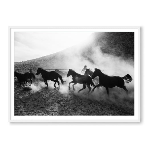 The Untamed West B&W