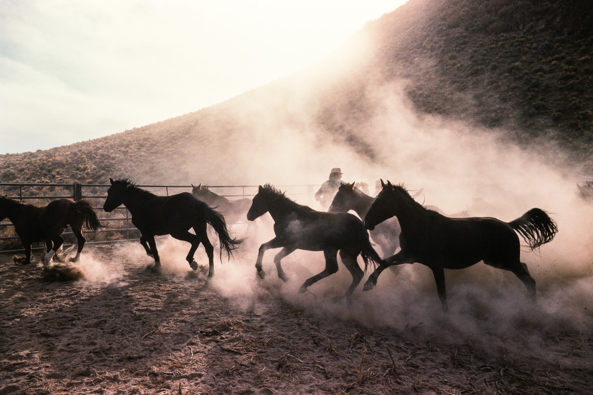 The Untamed West - In Real Life