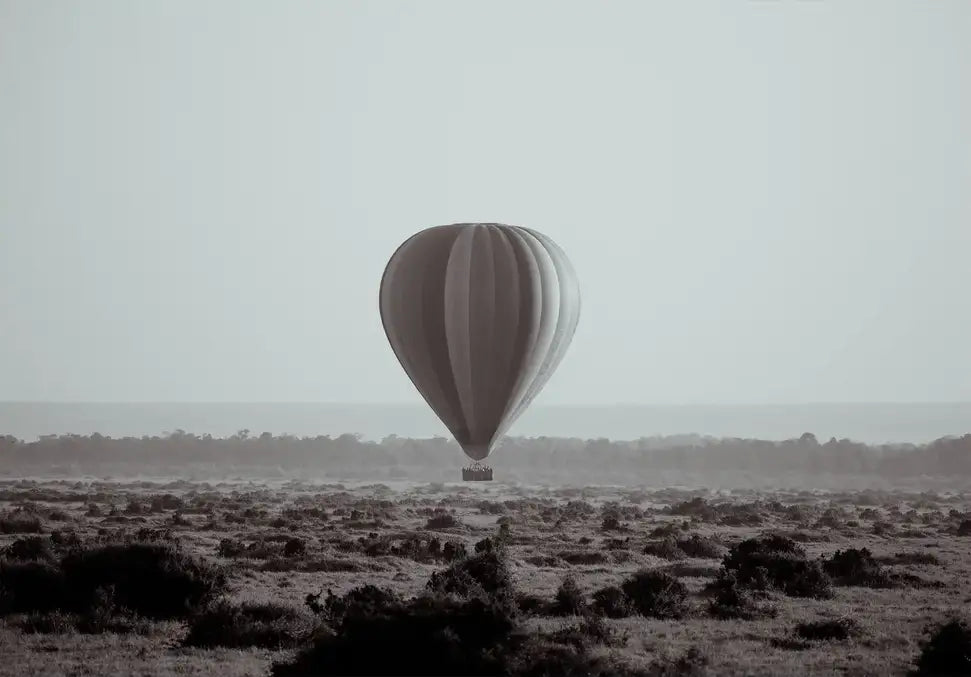 ABOVE THE MARA - In Real Life
