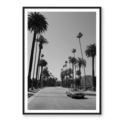 Beverly Hills Drive