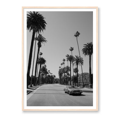 Beverly Hills Drive