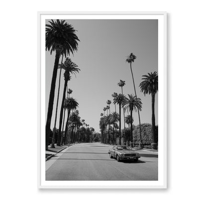 Beverly Hills Drive