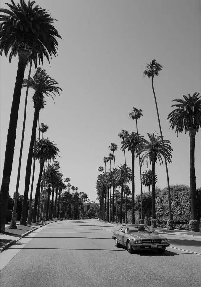 Beverly Hills Drive - In Real Life