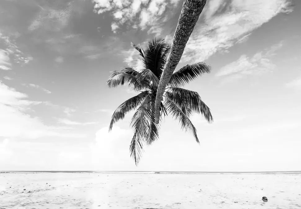 Bula - In Real Life