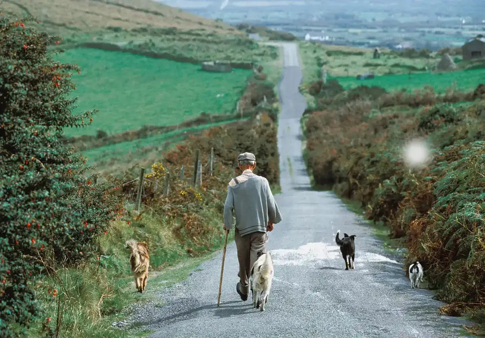 Countryside Stroll - In Real Life