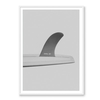 Fin