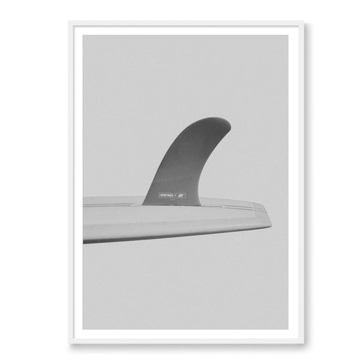 Fin