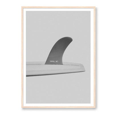 Fin