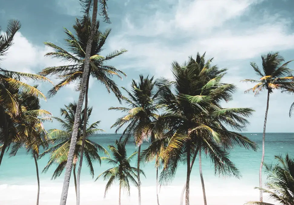Island Time - In Real Life