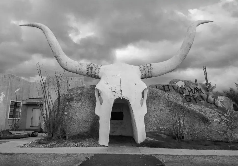 Long Horns - In Real Life