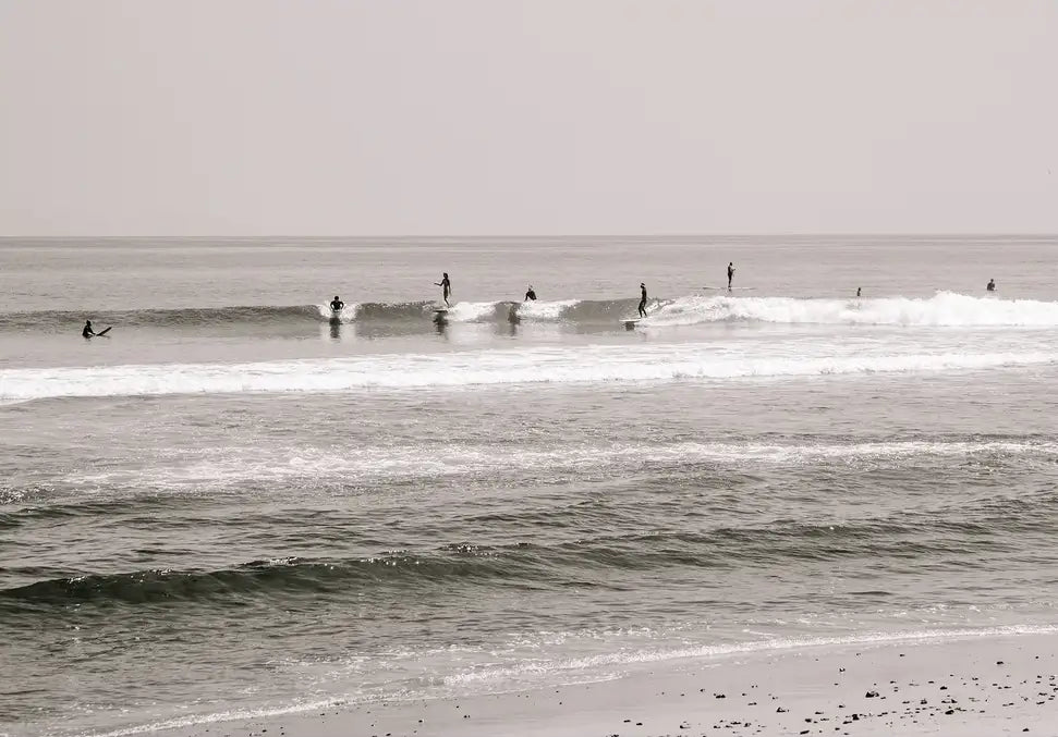 Malibu Surfriders - In Real Life