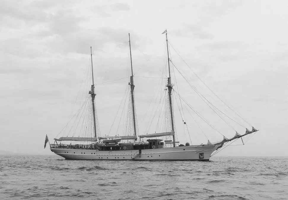 Mariner - In Real Life