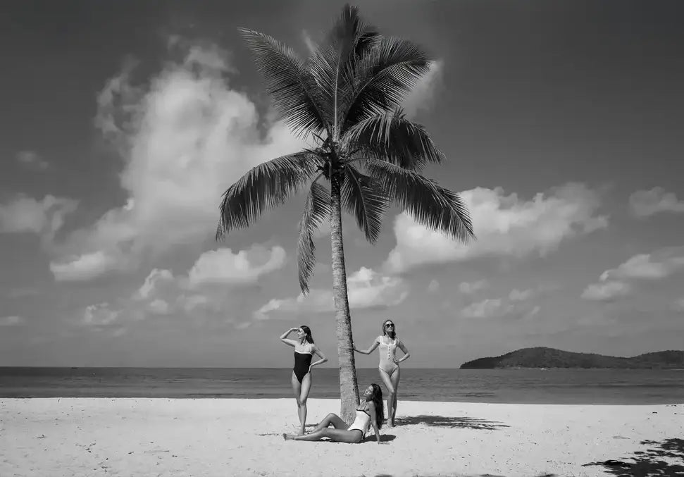 Paradise Found - In Real Life