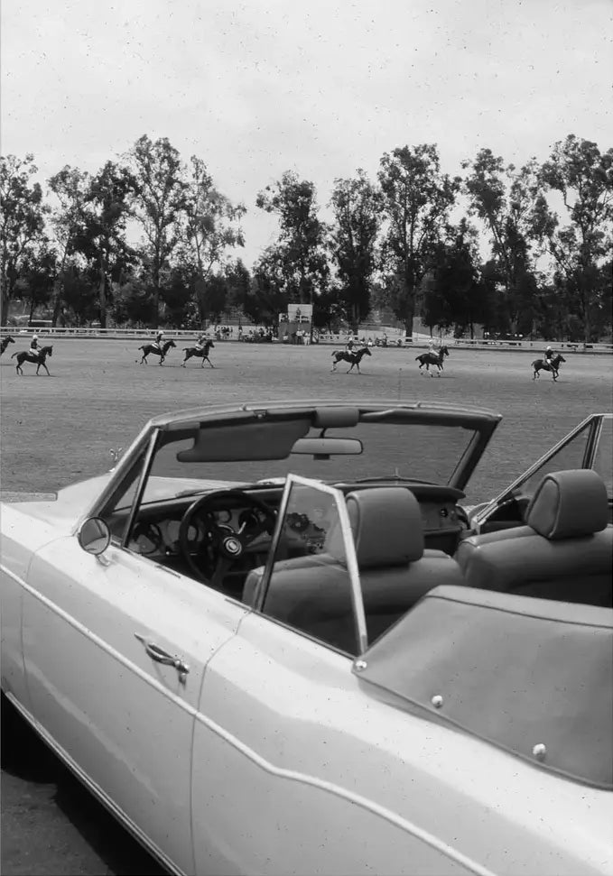 Polo in Los Angeles - In Real Life