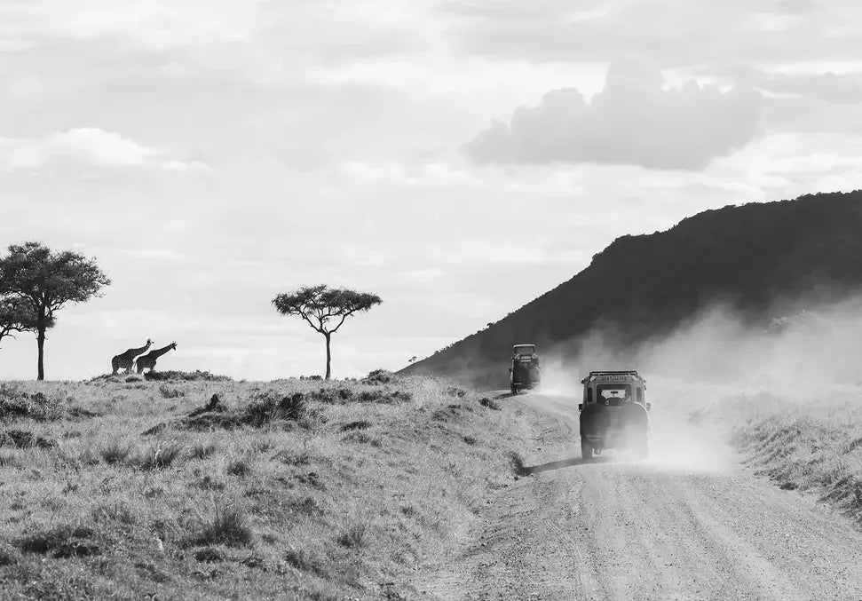 SAFARI IN KENYA - In Real Life