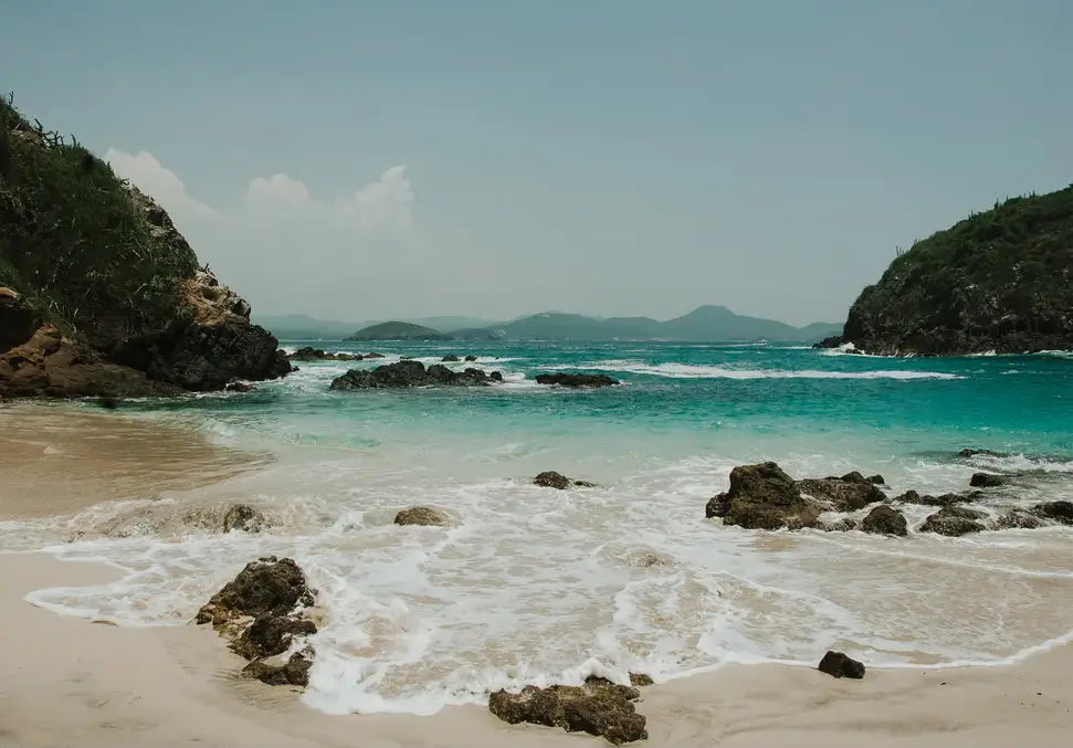 SECRET COVE - In Real Life