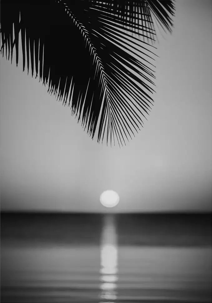 SUN DROP - In Real Life