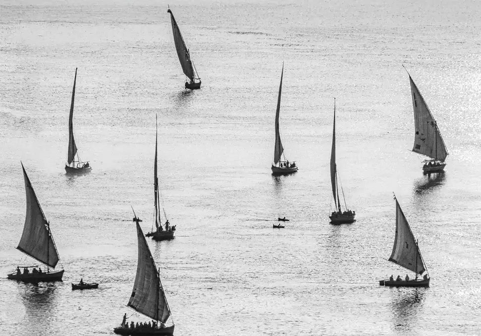 Sailboats In Egypt - In Real Life