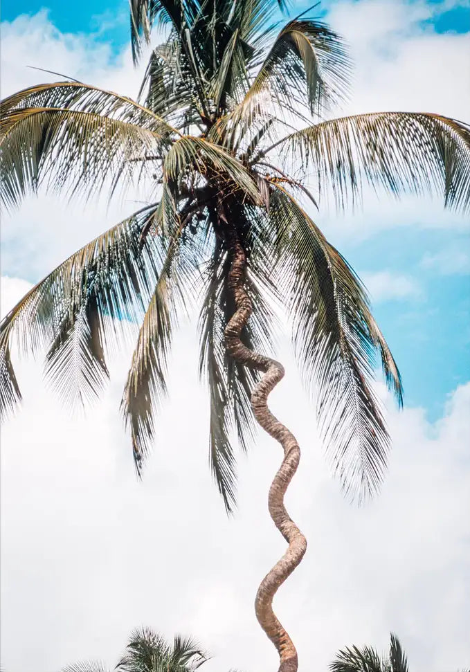 Squiggles - In Real Life