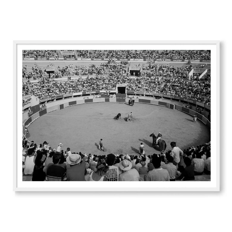 The Bullfight