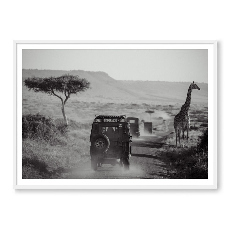 THE SAFARI B&W