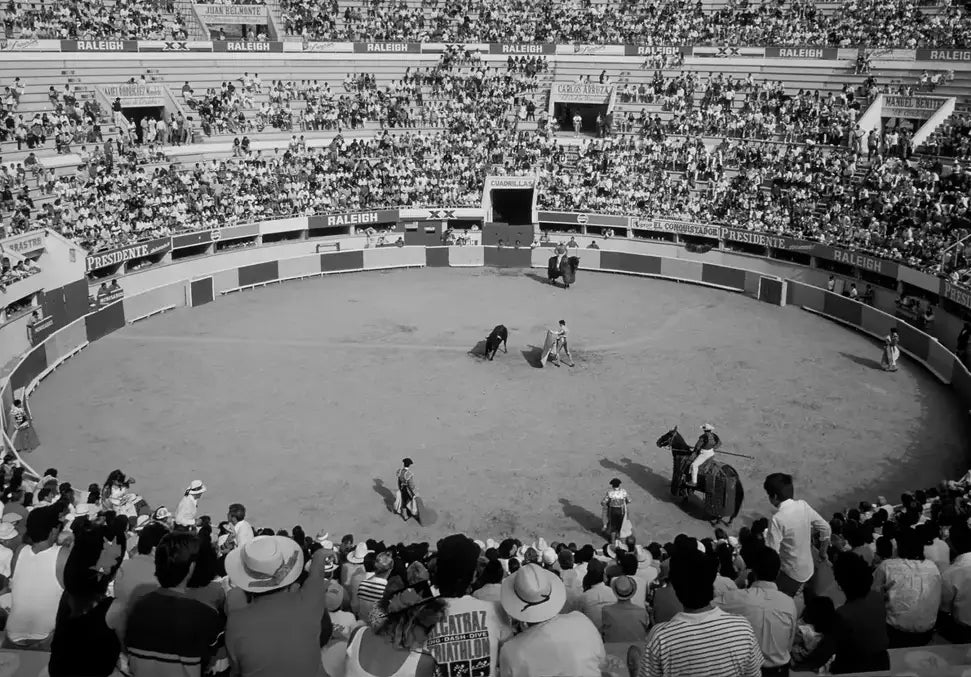 The Bullfight - In Real Life