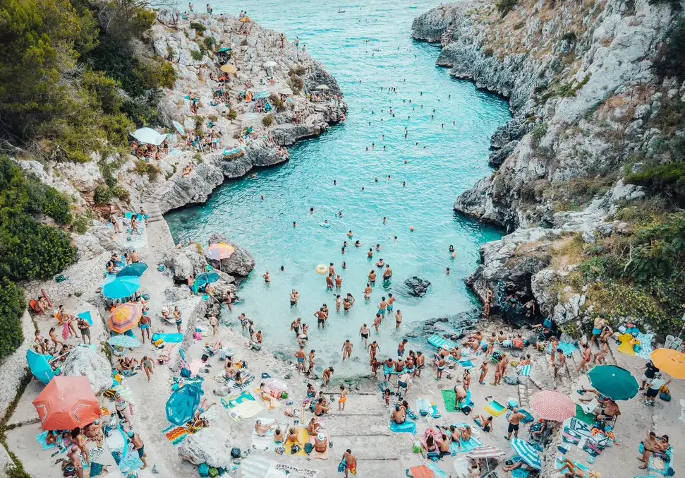 The Cove - In Real Life