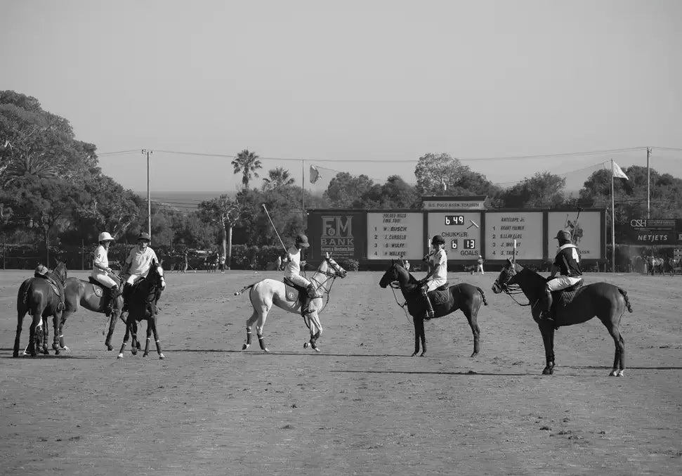 The Polo Club - In Real Life