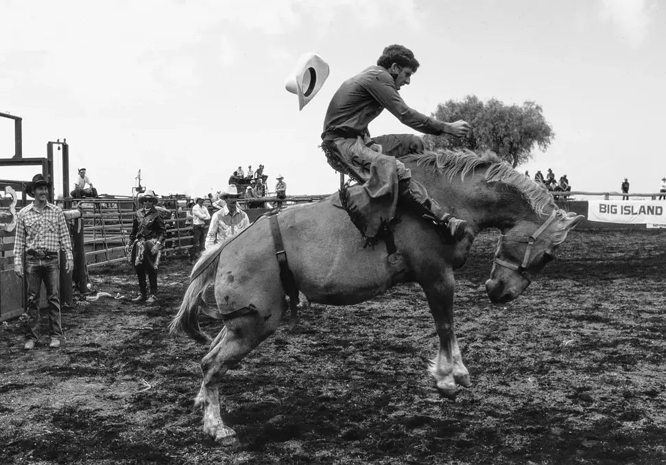 Real Rodeo The Rodeo - In Real Life