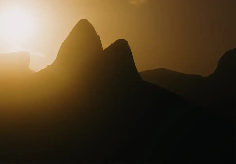 Two Brothers - In Real Life