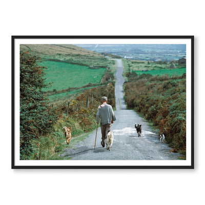 Countryside Stroll