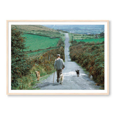 Countryside Stroll