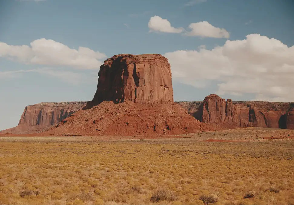 WEST ANDERSON - In Real Life