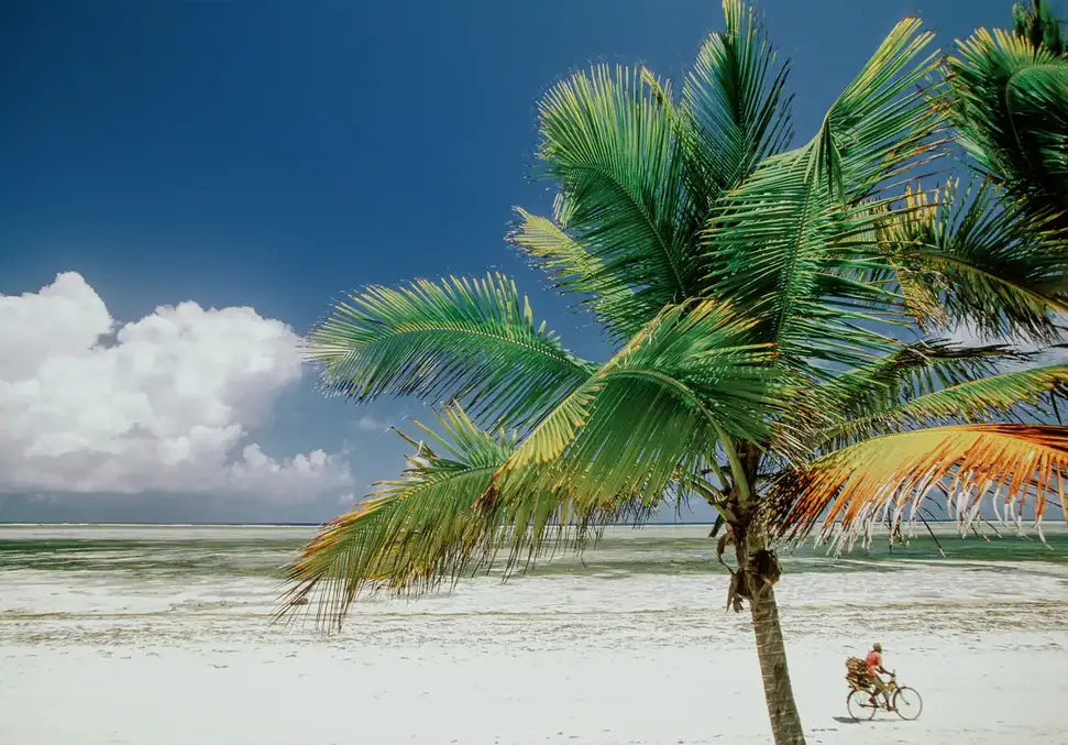 Zanzibar - In Real Life