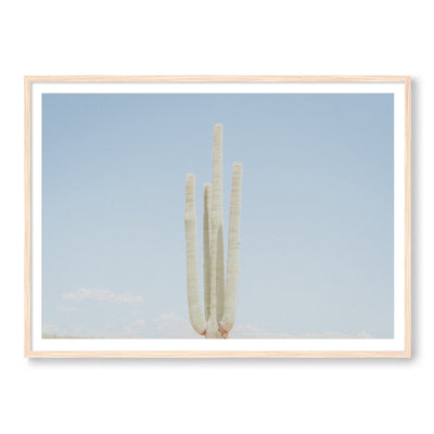 Lonely Cactus Club